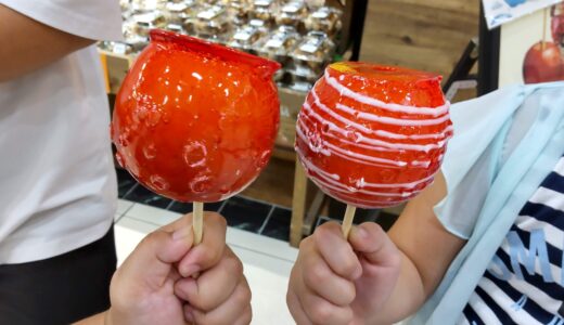 リンゴアメ専門店 林檎堂 メニュー 値段 営業時間 定休日 福岡県直方市湯野原